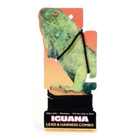COASTAL PET Iguana Leash Combo 2390